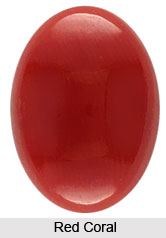 Coral, The Gemstone for  Mars