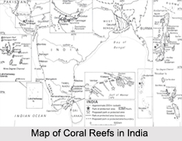 Coral Reefs in India