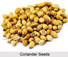 Coriander Seeds
