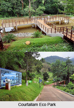 Courtallam Eco Park, Tirunelveli District, Tamil Nadu