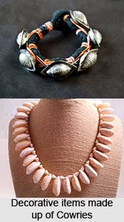 Cowries, Indian Shell Fish