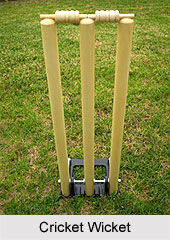 Equipments of Cricket