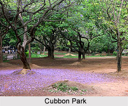 Cubbon Park, Karnataka
