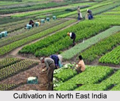 Cultivation in North East India, Indian Vegetation