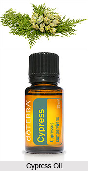 Cypress Oil