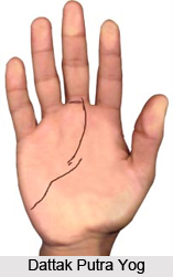 Dattak Putra Yog , Palmistry