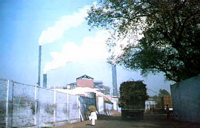 Daurala Sugar Works - Daurala, Meerut, Uttar Pradesh