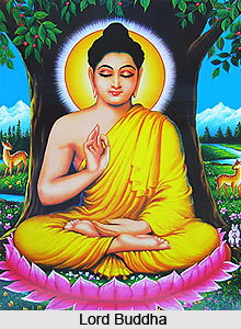 Decline Of Buddhism In India