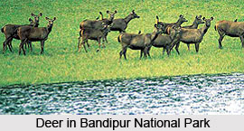 Nature Tourism In Mysore District, Karnataka