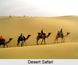 Desert Safari in India