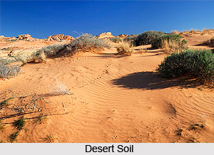 Desert Soils in India