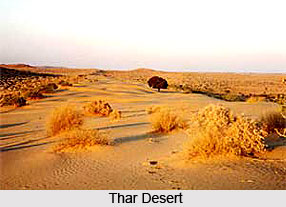Deserts and Xeric Shrub-Lands in India
