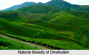 Devikulam , Hill station in Kerala