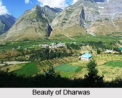 Dharwas, Chamba District, Himachal Pradesh