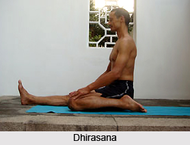 Dhirasana