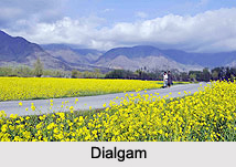 Dialgam, Anantnag District, Jammu and Kashmir