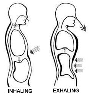 Diaphragmatic breathing