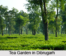 Dibrugarh, Assam