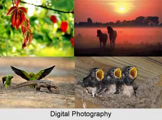 Digital Photography  in India