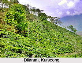 Dilaram, Kurseong, West Bengal