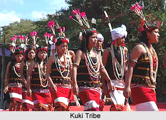 Dima Hasao District, Assam