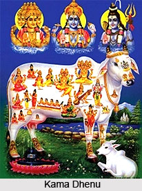 Disease Curing Mantra, Agni Purana