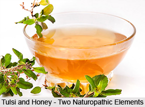 Diseases in children cured by Tulsi