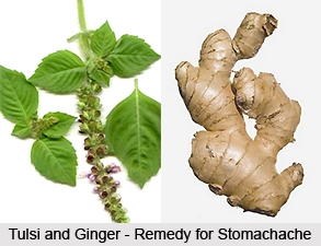 Diseases of the digestive system cured by Tulsi