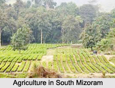 District of South Mizoram