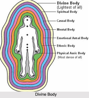 Divine Body, Bodies and Chakras