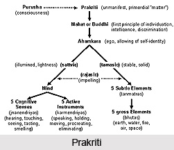 Drasta dr`simatrah suddhah api pratyayanupasyah, Patanjali Yoga Sutra