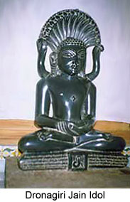 Dronagiri Jain Temples, Madhya Pradesh