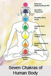 Duhkha anusayi dvesah, Patanjali Yoga Sutra