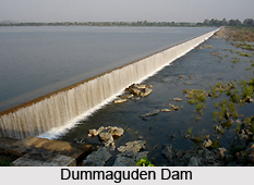 Dummaguden Dam, Andhra Pradesh