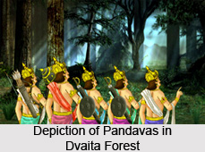 Dvaita Forest, Indian Forest
