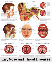 Ear, Nose and Throat Diseases