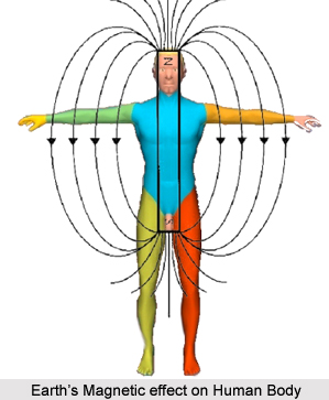 Earth`s Magnetic Effect on Human Body