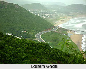 Semi-Evergreen Forests  in Orissa