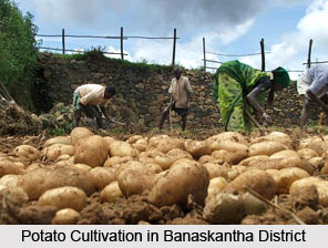 Economy of Banaskantha District