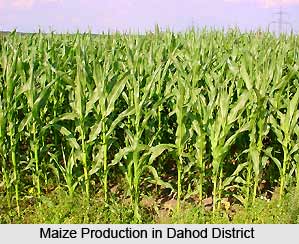 Economy of Dahod District
