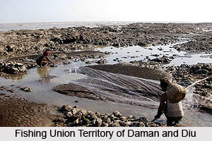 Economy of Daman and Diu