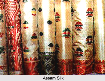 Economy of Dhemaji District