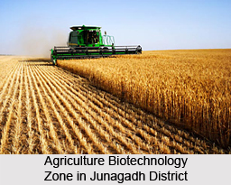 Economy of Junagadh District