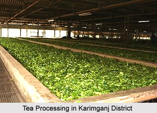 Economy of Karimganj District