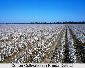 Economy of Kheda District