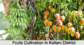 Economy of Kollam District, Kerala