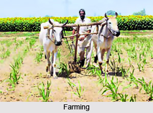 Economy of Kurukshetra District