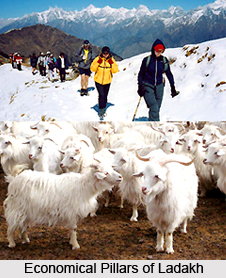 Economy of Ladakh