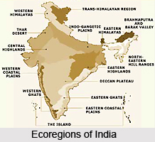 Ecoregions in India