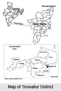 Education in Tiruvallur District
